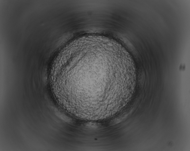 X0000091200261200708301606