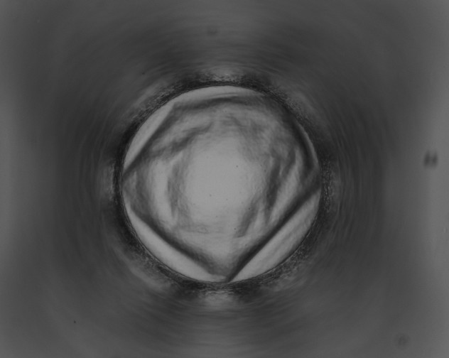 X0000091200262200708301606