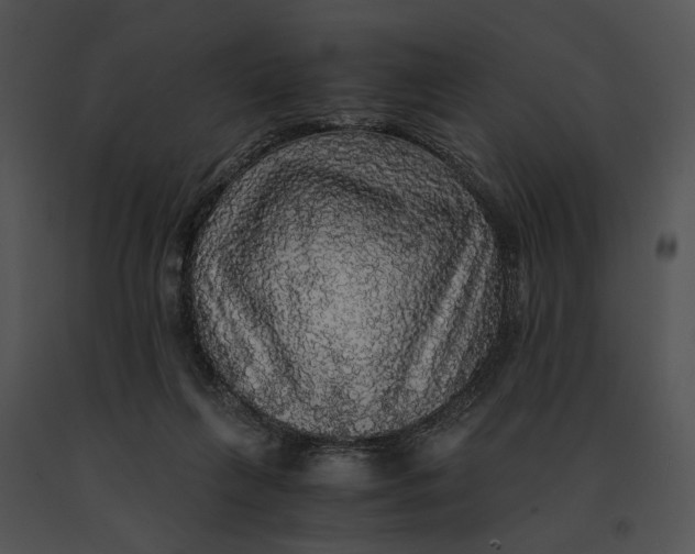 X0000091200263200708301606