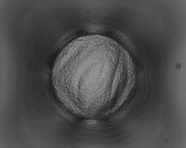 X0000091200265200708301606