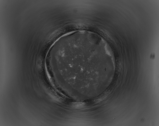 X0000091200266200708301606