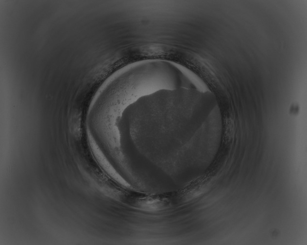 X0000091200267200708301606