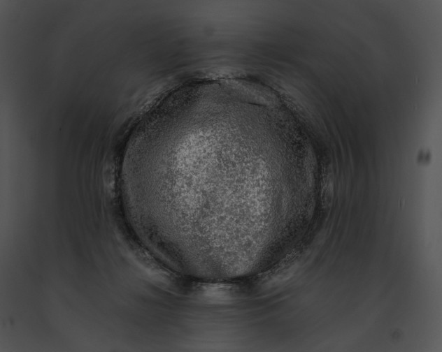 X0000091200268200708301606