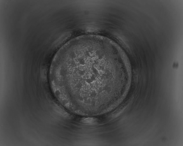 X0000091200269200708301606