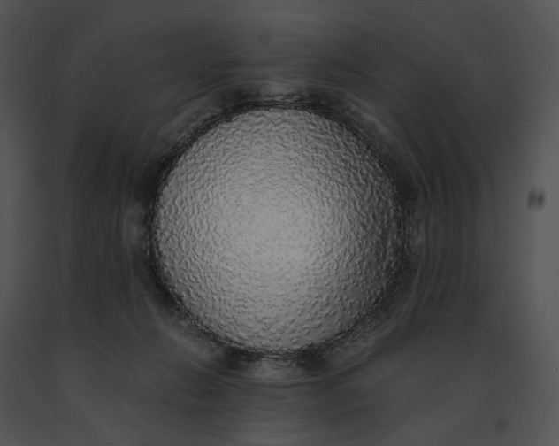 X0000091200270200708301606