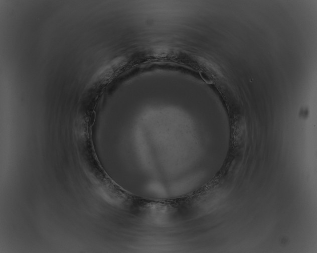 X0000091200272200708301606