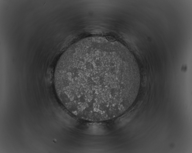 X0000091200273200708301606