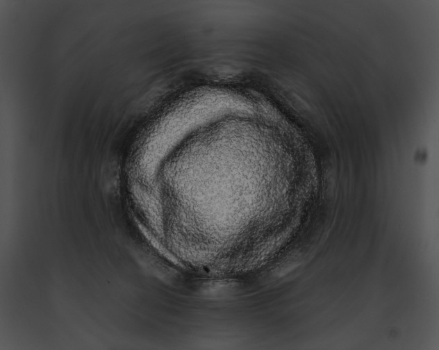 X0000091200274200708301606