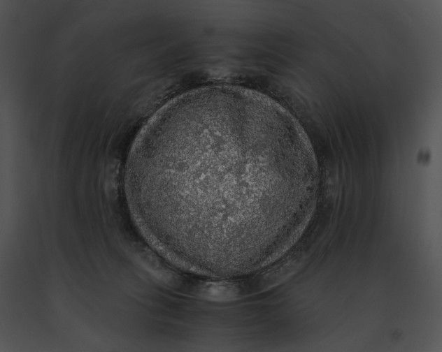 X0000091200275200708301606