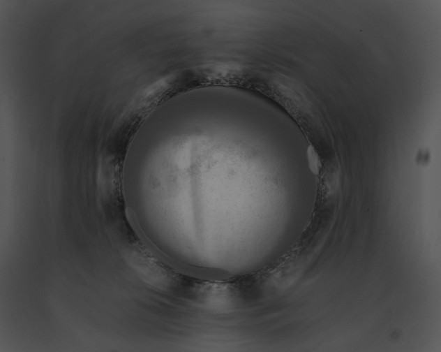 X0000091200276200708301606