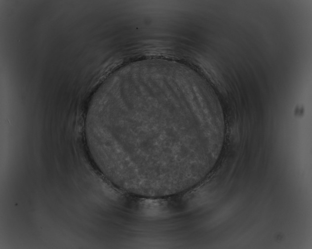 X0000091200277200708301606