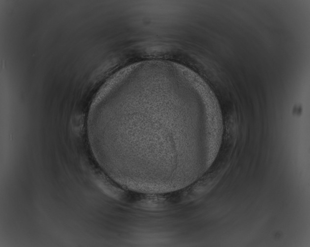 X0000091200278200708301606