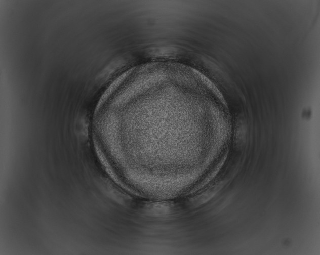 X0000091200282200708301607