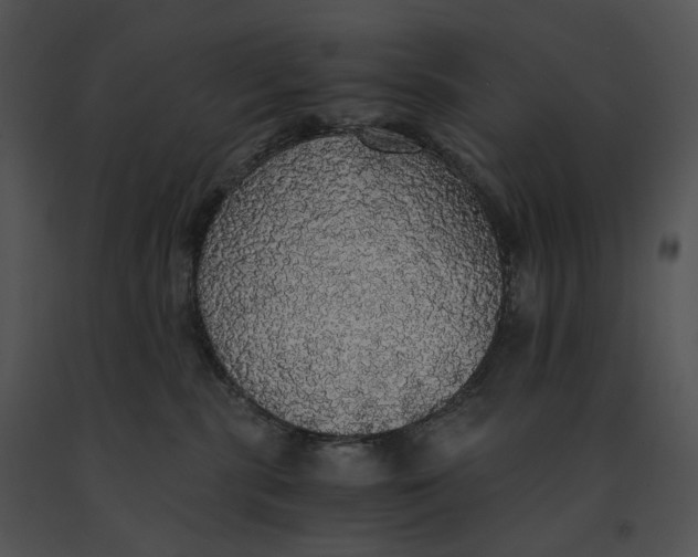 X0000091200283200708301607