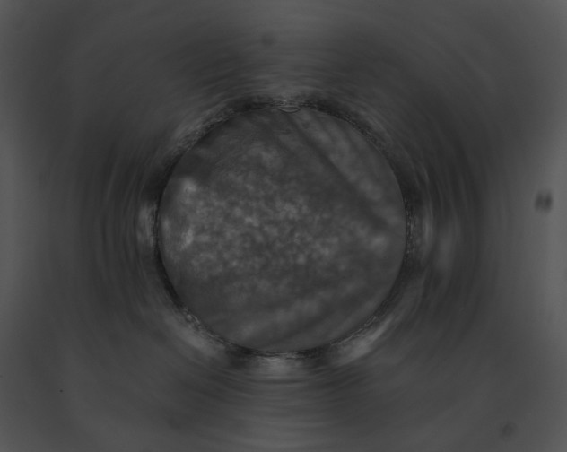 X0000091200286200708301607