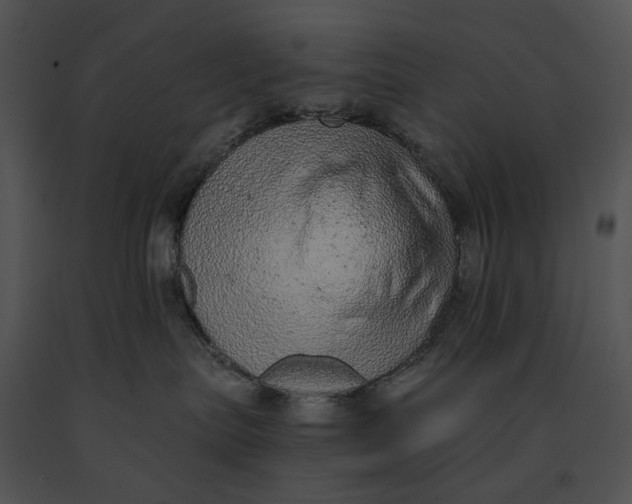 X0000091200287200708301607
