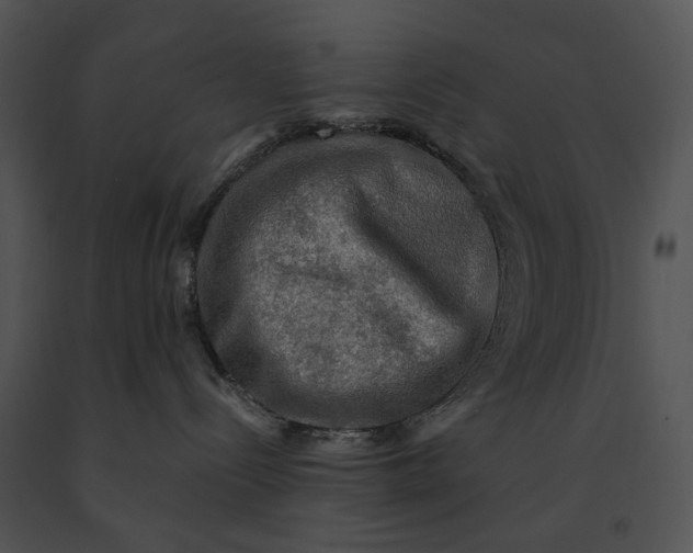 X0000091200288200708301607