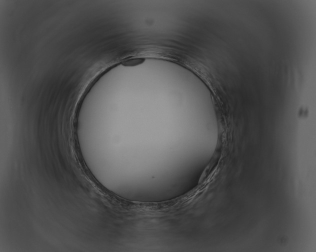 X0000091200289200708301606