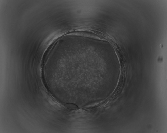 X0000091200290200708301606