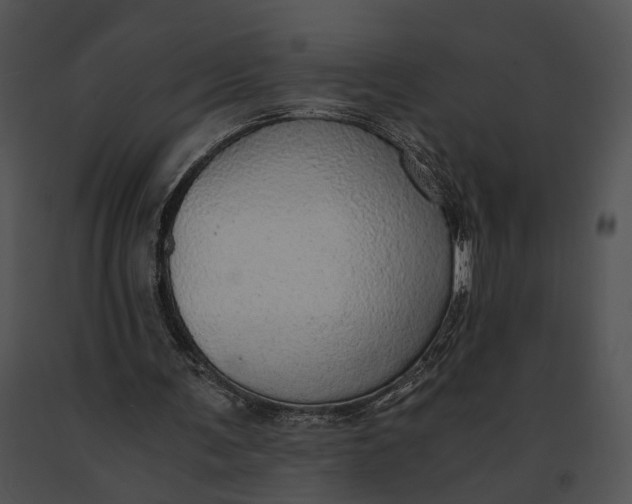X0000091200291200708301606