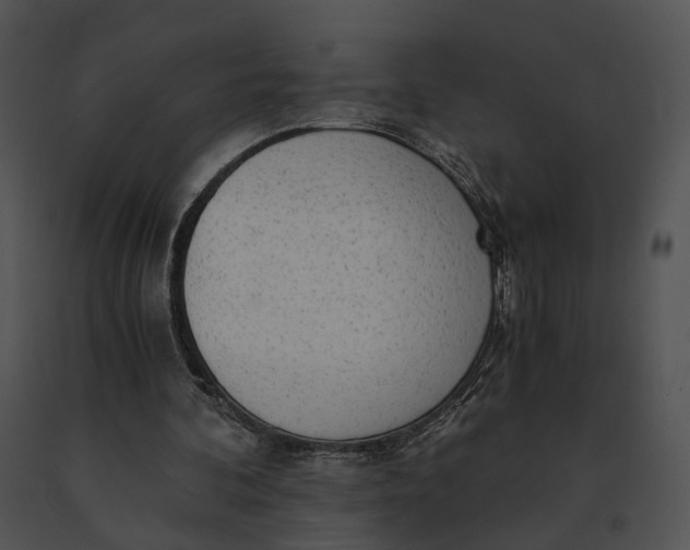 X0000091200292200708301606