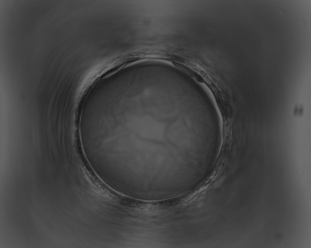 X0000091200293200708301606
