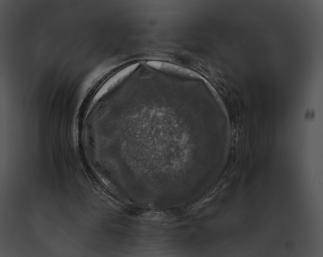 X0000091200294200708301606
