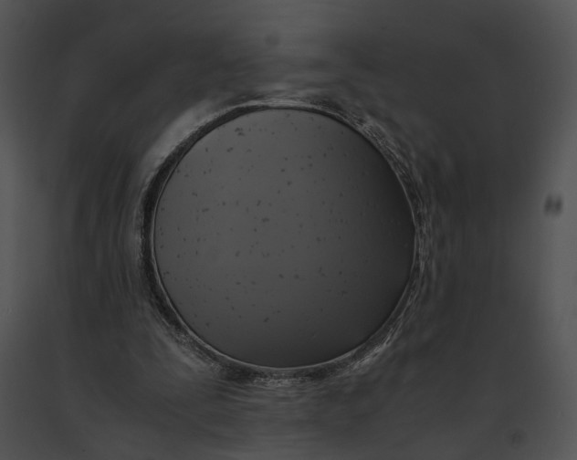 X0000091200295200708301606