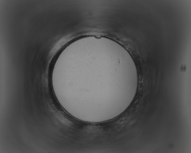 X0000091200296200708301606