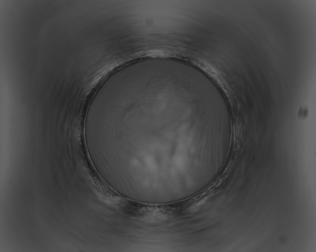 X0000091200297200708301606