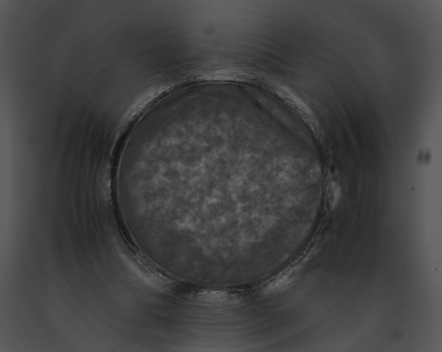 X0000091200298200708301606