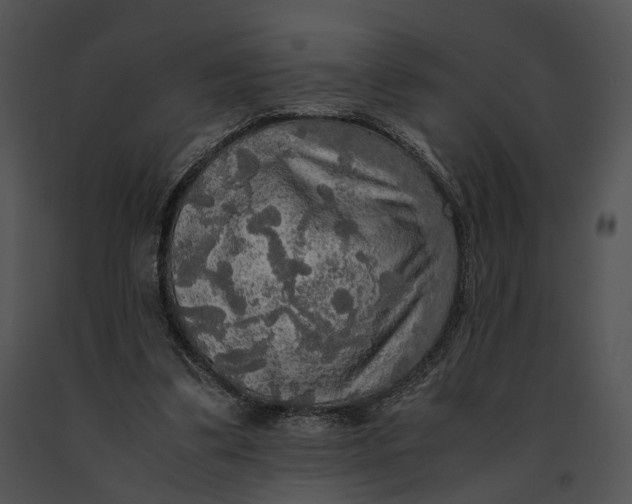 X0000091200299200708301606