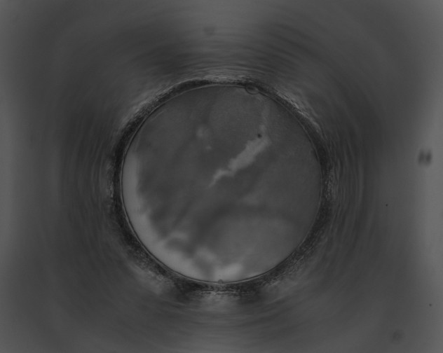 X0000091200303200708301606