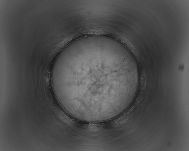 X0000091200305200708301606