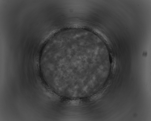 X0000091200306200708301606