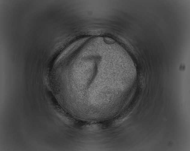 X0000091200307200708301606