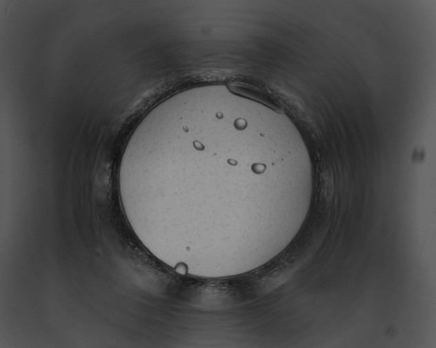 X0000091200308200708301606