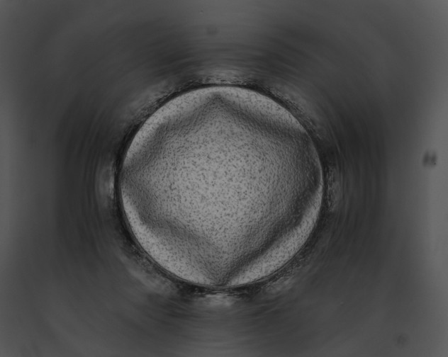 X0000091200310200708301606