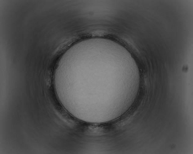 X0000091200311200708301606