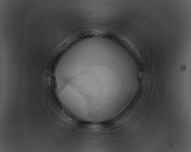 X0000091200313200708301606