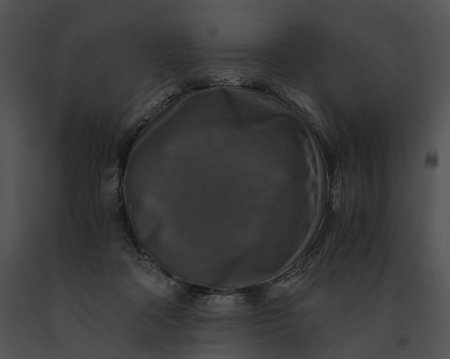 X0000091200314200708301606