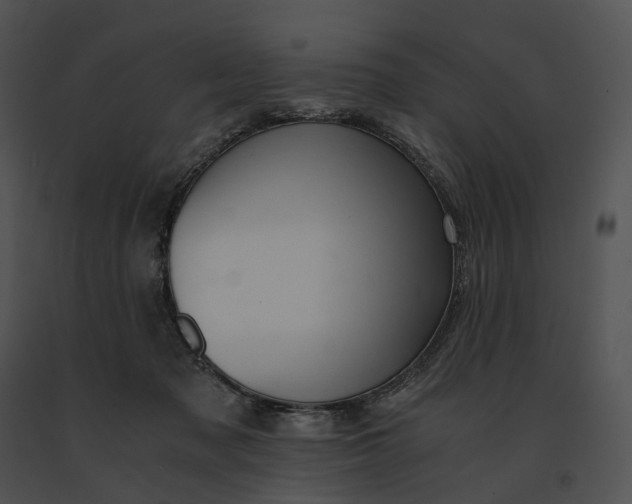 X0000091200317200708301605