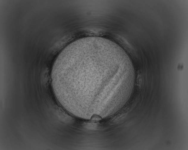 X0000091200318200708301605