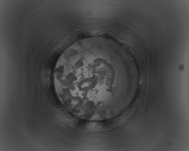X0000091200319200708301605