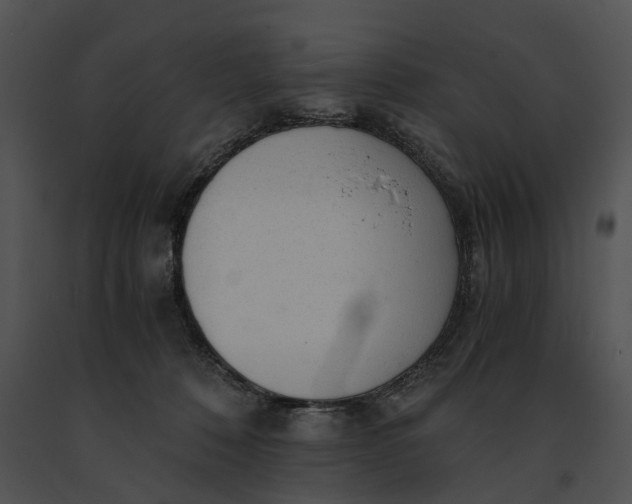X0000091200320200708301605
