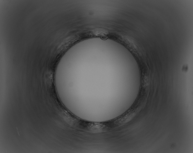 X0000091200321200708301605