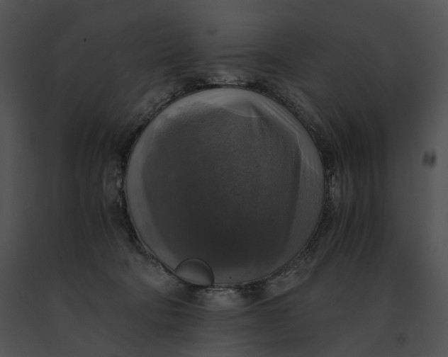X0000091200322200708301605