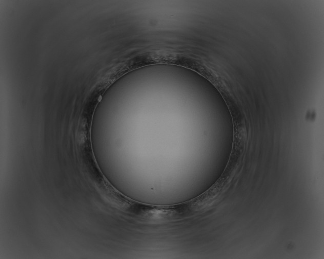 X0000091200323200708301605
