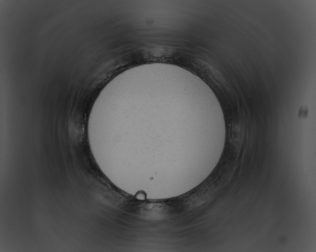 X0000091200324200708301605