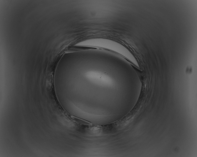 X0000091200325200708301605